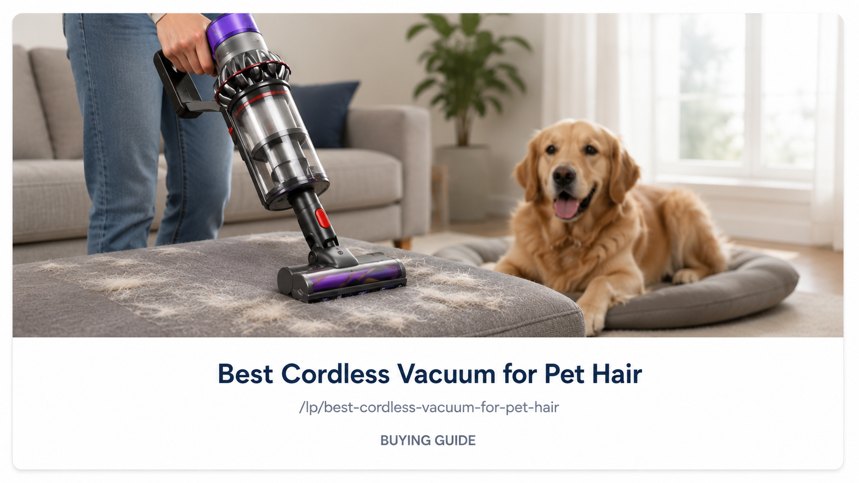 Best Cordless Vacuum for Pet Hair: It Is Not About Suction