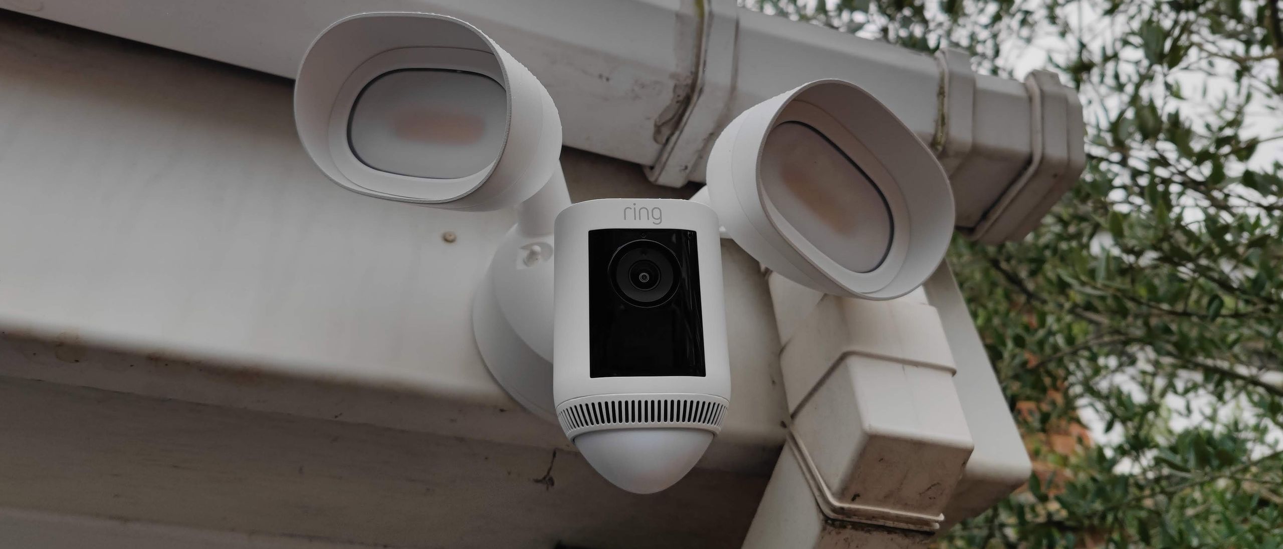 Floodlight security cameras: 2,000 lumens and a camera in one